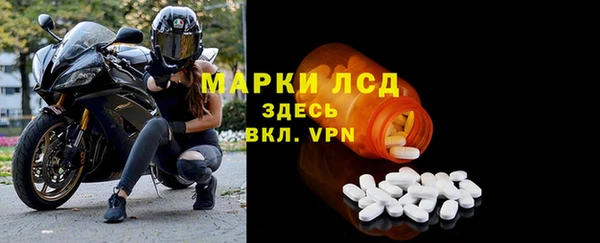 прущие грибы Магас