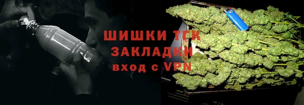 сатива Магадан
