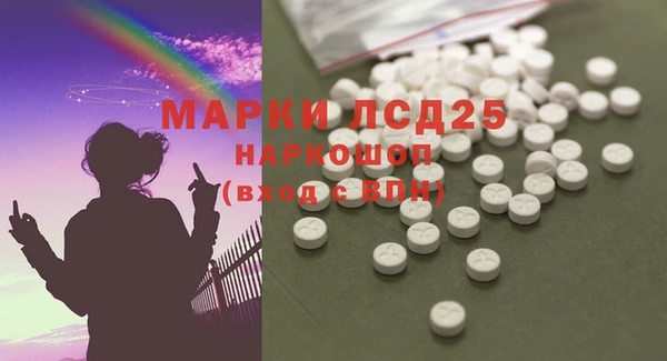 индика Березники