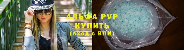 прущие грибы Магас
