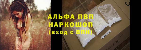 сатива Магадан