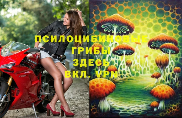 сатива Магадан