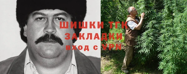 прущие грибы Магас