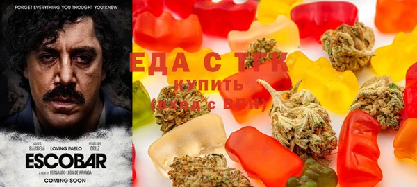 прущие грибы Магас