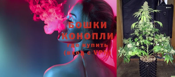 прущие грибы Магас