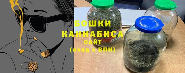 прущие грибы Магас